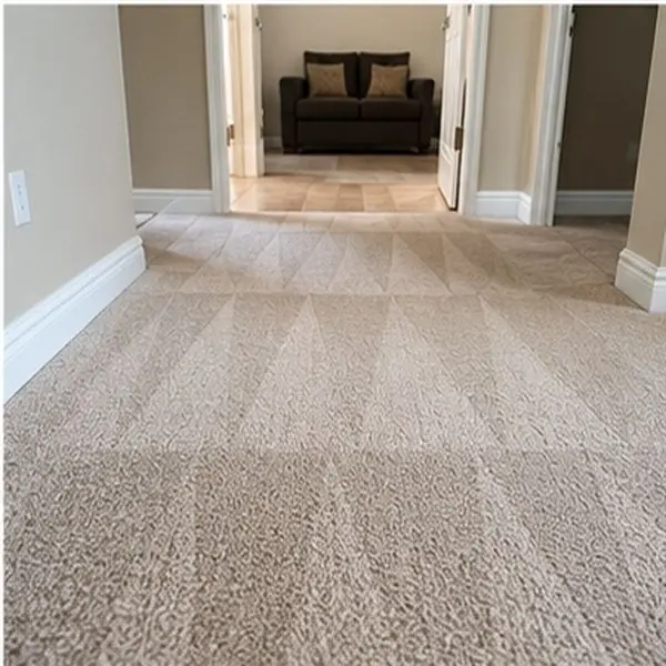 Carpet cleaning results in Kingsville VIC