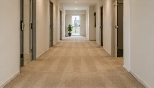 Carpet types cleaned in Kingsville